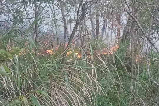 Huy động 700 người chữa cháy rừng ở Hà Giang