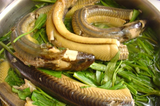 Thịt lươn tốt cho người viêm gan