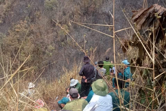 Điện Biên phát hiện thi thể 3 bố con bị chết cháy trong khe núi