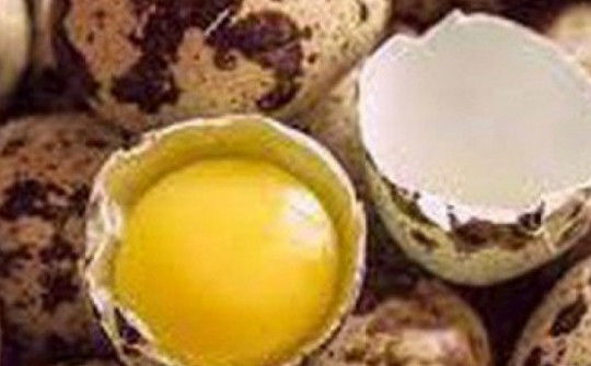 9 lợi ích sức khỏe bất ngờ của trứng cút