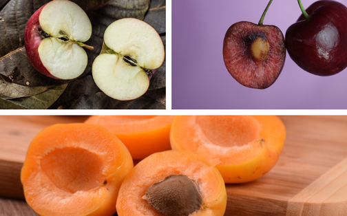 4 loại trái cây không nên ăn hạt vì có chứa chất độc, có loại còn gây hôn mê do hạ đường huyết