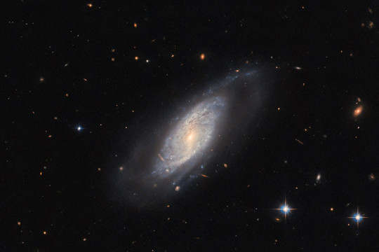 Hình ảnh sắc nét của thiên hà xoắn UGC 9684 qua kính Hubble