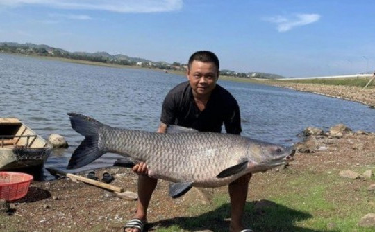 Câu được cá trắm đen 'khủng' hơn 36kg ở hồ nước đẹp nhất Buôn Ma Thuột