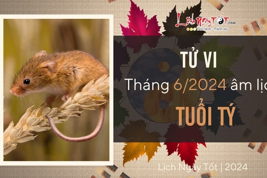 Tử vi tháng 6/2024 tuổi Tý âm lịch: Nhiều mối trăn trở, kết quả xứng đáng với nỗ lực