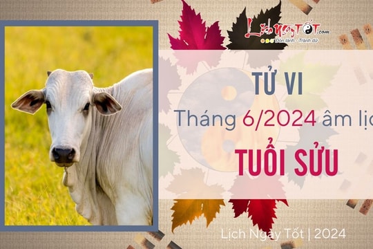 Tử vi tháng 6/2024 tuổi Sửu âm lịch: Công sức như muối bỏ biển, nhiều hao tổn bất ngờ