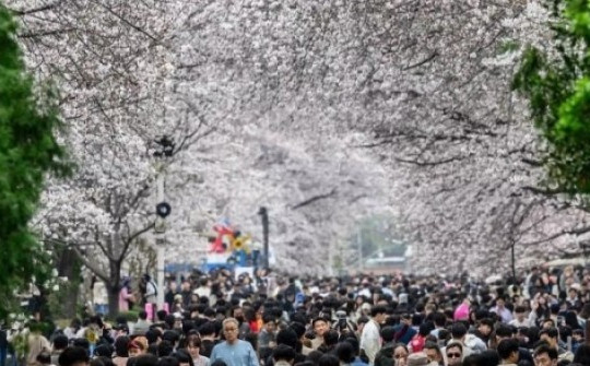 Sức mạnh quốc gia Trung-Nhật-Hàn sẽ thế nào nếu dân số không ngừng giảm?