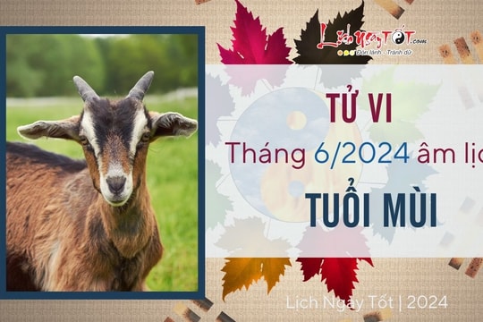 Tử vi tháng 6/2024 tuổi Mùi âm lịch: Trở lực ngày càng nhiều, cần giữ đầu óc tỉnh táo