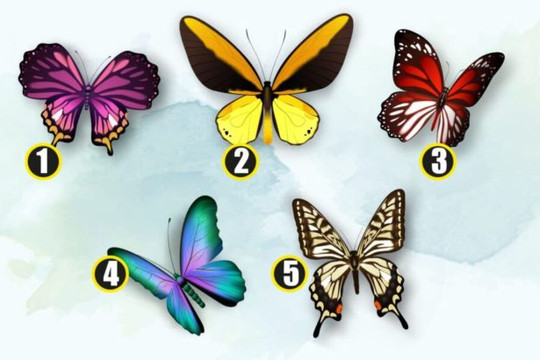 Trắc nghiệm: Chú bướm yêu thích thể hiện phong cách lãnh đạo