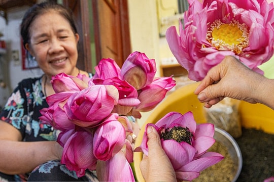 Cận cảnh quy trình ướp loại trà sen đắt đỏ nhất Hà thành, giá chục triệu đồng/kg