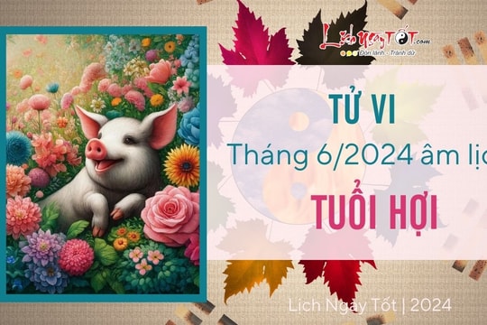 Tử vi tháng 6/2024 tuổi Hợi âm lịch: Nhân duyên tốt lành, tinh thần phấn khởi