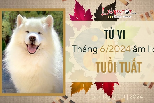 Tử vi tháng 6/2024 tuổi Tuất âm lịch: Vấp váp nhiều trở ngại, tiểu nhân phá hoại