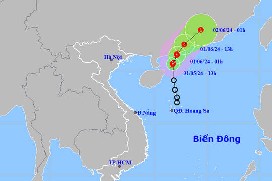 Biển Đông đón bão số 1, gió giật cấp 10