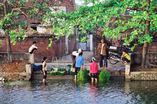 Ao làng in dấu tuổi thơ