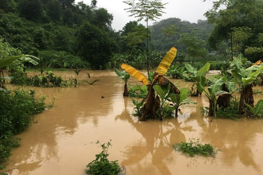 Tuyên Quang phát cảnh báo lũ quét, sạt lở đất sau mưa lớn