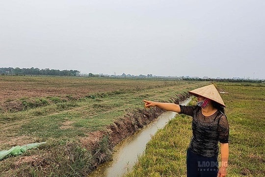 Nhiều điểm mới về việc đền bù khi bị thu hồi đất nông nghiệp theo Luật Đất đai 2024