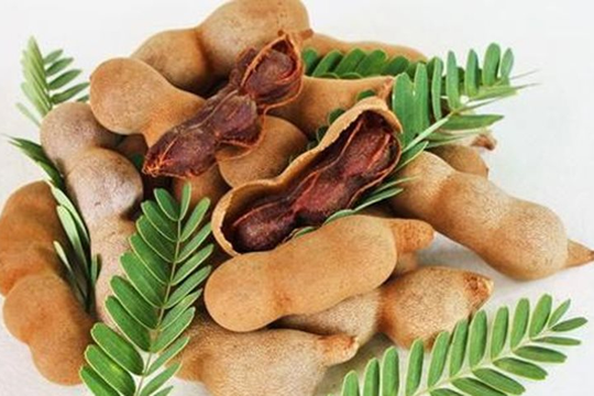 Quả me giúp giảm đau nhức xương khớp