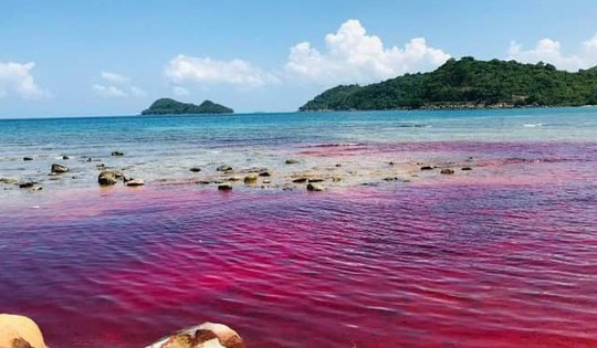 Phú Quốc: Xuất hiện hiện tượng hiếm gặp trên biển
