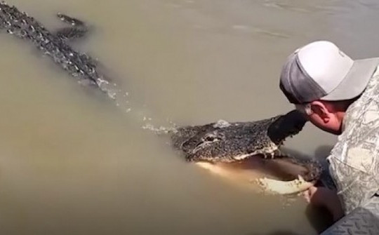 '50 sắc thái' của cá sấu khi đụng độ con người