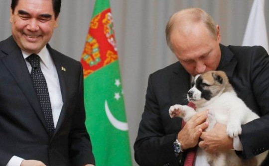 Danh sách thú cưng "độc lạ" của Tổng thống Nga Putin