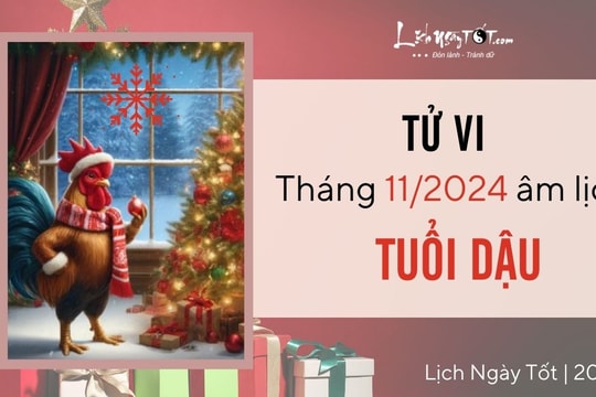 Tử vi tháng 11/2024 tuổi Dậu âm lịch: Tốt xấu đan xen, chớ nên tiêu cực