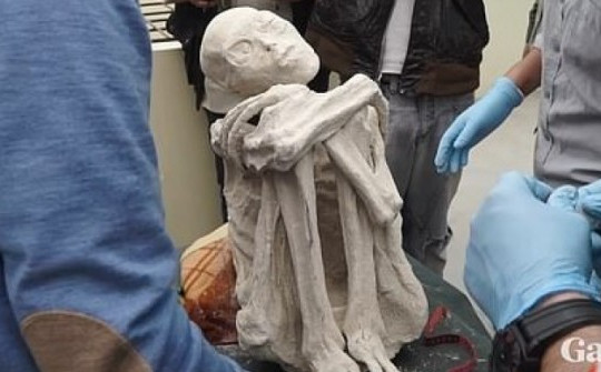 Phát hiện mới về xác ướp "người ngoài hành tinh" ở Peru