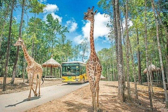 Những sở thú được yêu thích nhất tại Việt Nam