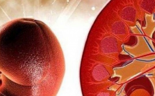 8 thói quen gây hại thận nhiều người mắc phải