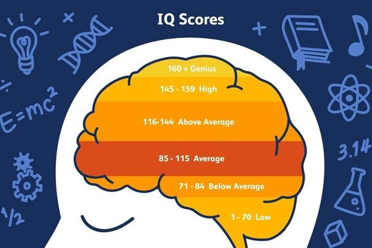 Chỉ số IQ và EQ