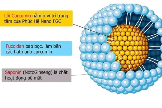 Chiết xuất từ rong nâu và tam thất kháng ung thư