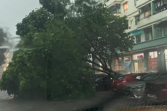 Tin mới nhất về cơn bão số 2: Quảng Ninh đang mưa rất to, gió giật cấp 11