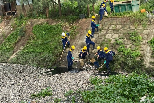 Lấy mẫu nước, xác định nguyên nhân 10 tấn cá chết ở hồ điều tiết tại Đà Nẵng