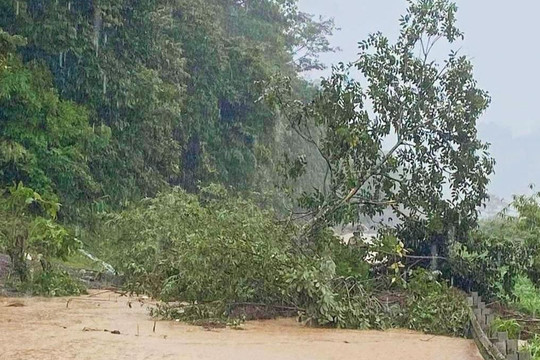 6 người chết và mất tích do sạt lở đất đá ở Sơn La