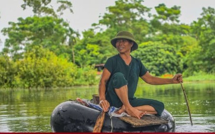 'Rốn lũ' Hà Nội: Người chèo thuyền tìm vịt lạc, người xót xa nhìn gà chết cả đàn