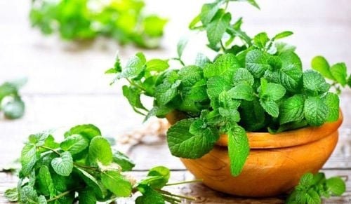 Rau bạc hà cải thiện chứng khó tiêu và đầy hơi