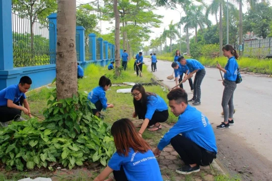 Hành trang vào đại học: Nỗ lực để tỏa sáng