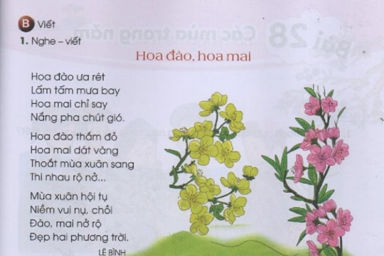 Nhà thơ Lệ Bình - Biết bao 'Tia nắng hạt mưa'