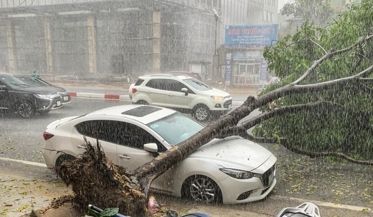 Chủ tịch Hà Nội ký công điện 'hoả tốc' về phòng chống thiên tai, ngập lụt, cây xanh gãy, đổ