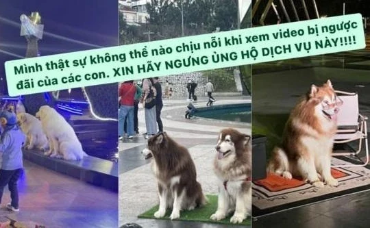 Tăng Thanh Hà và nhiều sao Việt kêu gọi tẩy chay dịch vụ này ở Đà Lạt