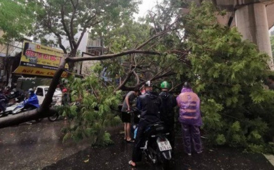 Hà Nội yêu cầu các trường cho học sinh nghỉ học ngày 7/9 để tránh siêu bão