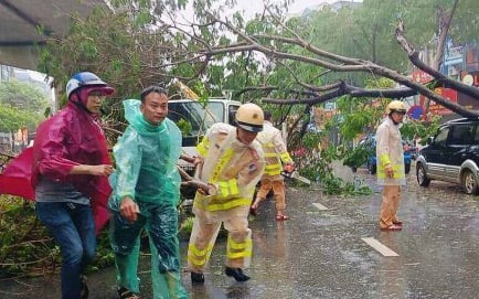 Hà Nội: 3 người chết, 8 người bị thương, gần 2.500 cây đổ do bão Yagi