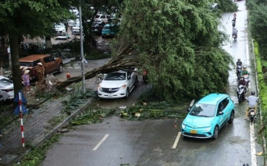 Hàng loạt ô tô ở Hà Nội bị đè bẹp sau khi bão số 3 quét qua