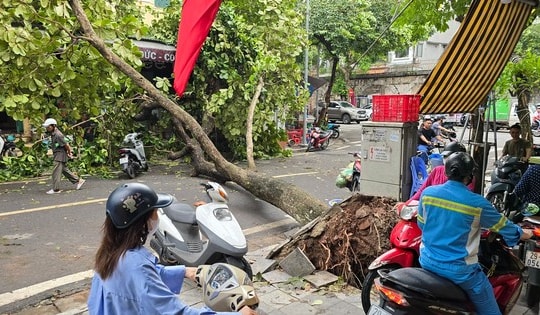 Đường phố Hà Nội vẫn ngổn ngang cây đổ, người dân chật vật tìm đường tới công sở