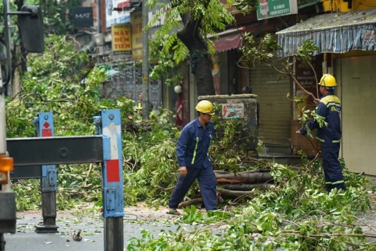 Công nhân cây xanh TP.HCM tới Hà Nội hỗ trợ xử lý cây gãy, đổ sau bão số 3