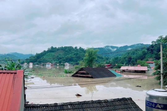 Sinh viên chung tay hướng về vùng lũ