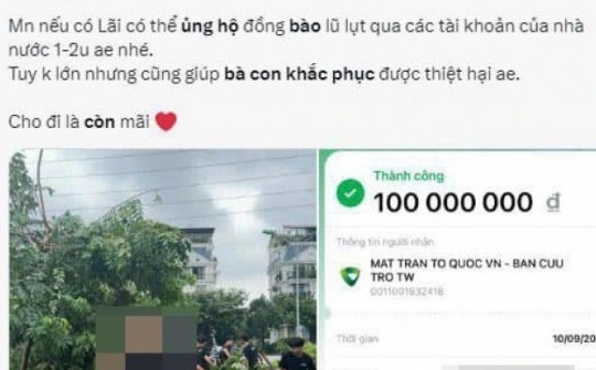 Từ vụ công bố sao kê tiền từ thiện: Khi lòng thương chỉ là hàng… fake