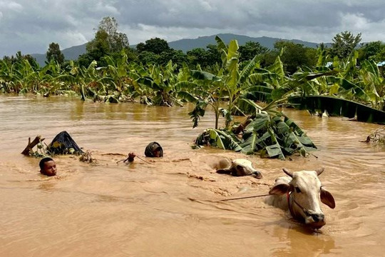 Myanmar thiệt hại nặng nề vì mưa lũ do bão Yagi