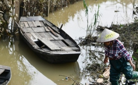 Bãi giữa sông Hồng sau những ngày bị nước lũ nuốt chửng