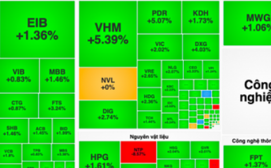 VN-Index bừng tỉnh tăng gần 20 điểm