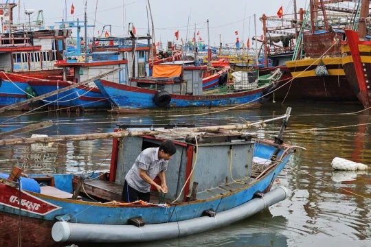 Người dân miền Trung chằng chống nhà cửa, neo đậu tàu thuyền trước áp thấp nhiệt đới