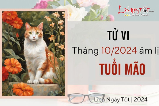 Tử vi tháng 10/2024 tuổi Mão âm lịch: Hãy tự tạo ra cơ hội, tránh liều lĩnh, tham lam